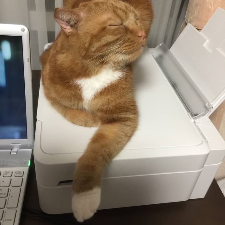 554a2996 765d 4716 8bb3 f6b5ec2f09f6 1565783482938