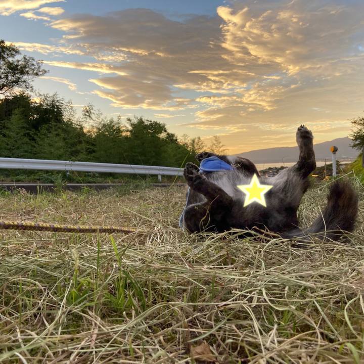 554a2a7f 7f78 4cc0 b0d7 ce008eab518a 1599472011719