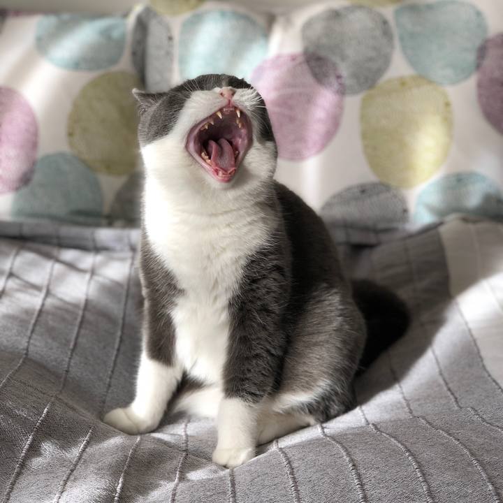 554a49b9 7cfc 435e ae4b b0fea9ab2503 1543715010659