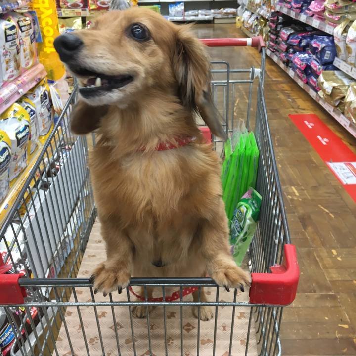 554ac049 cea8 41ff aa97 dd44799ca9b0 1566742804082