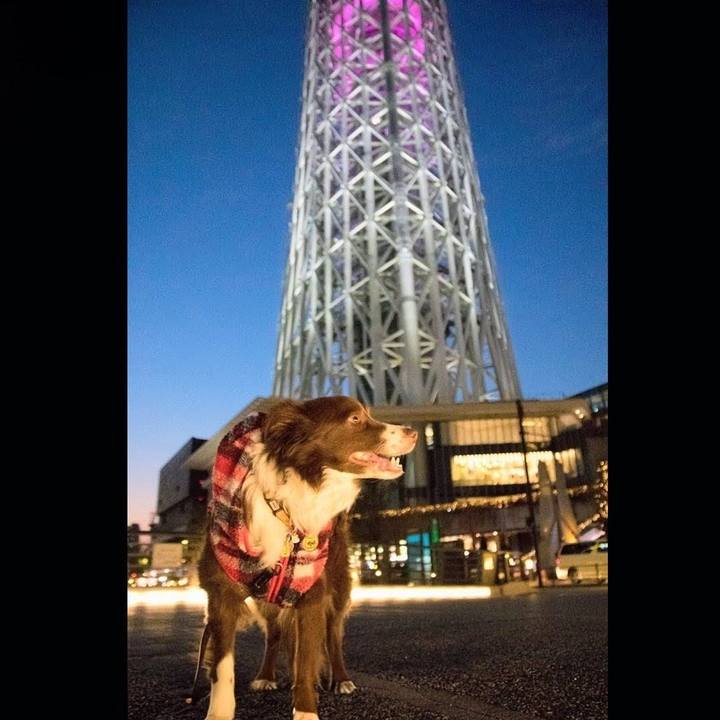 554aca34 7745 4a4c b245 31ff4946b227 1772664313004