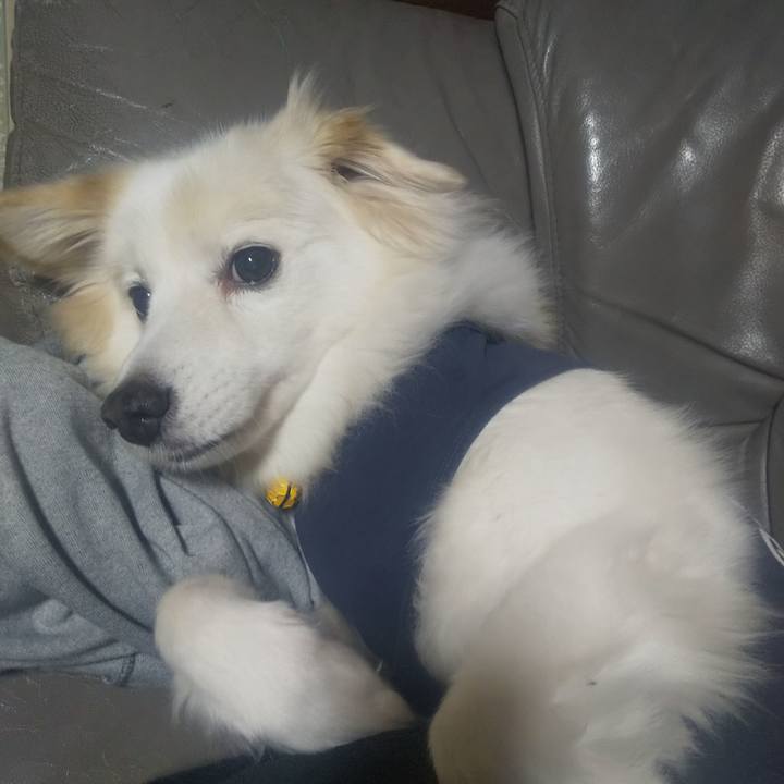 554ad2e5 bc32 4fee 8b6f 902da9e6348e 1640380925915