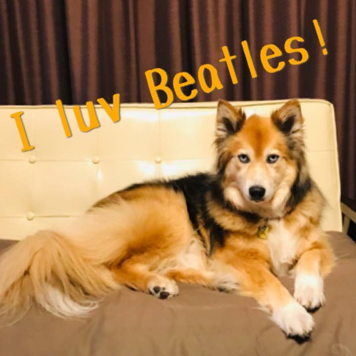 554ae761 6bac 4afa 865c 3d92f02dbf0e 1587790868449