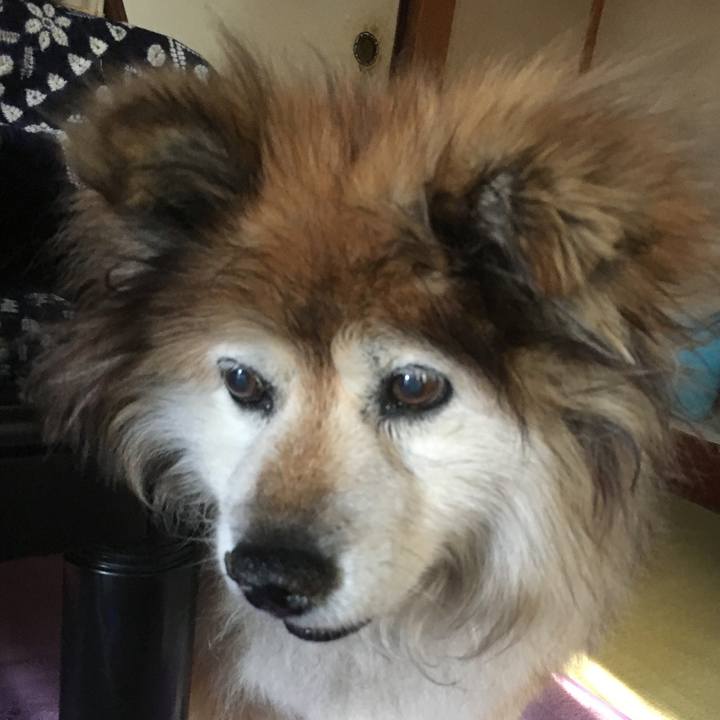 554af60b 2483 464f a8be e0c901886054 1600824848656