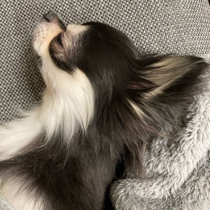 554b188b 3c9a 4538 b91f 040086213ee2 1639842590400