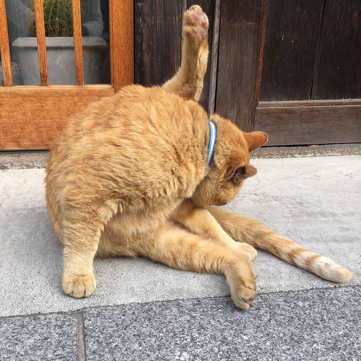 554b2114 e4fe 41e4 8d1c 8494df6bb371 1610624260050