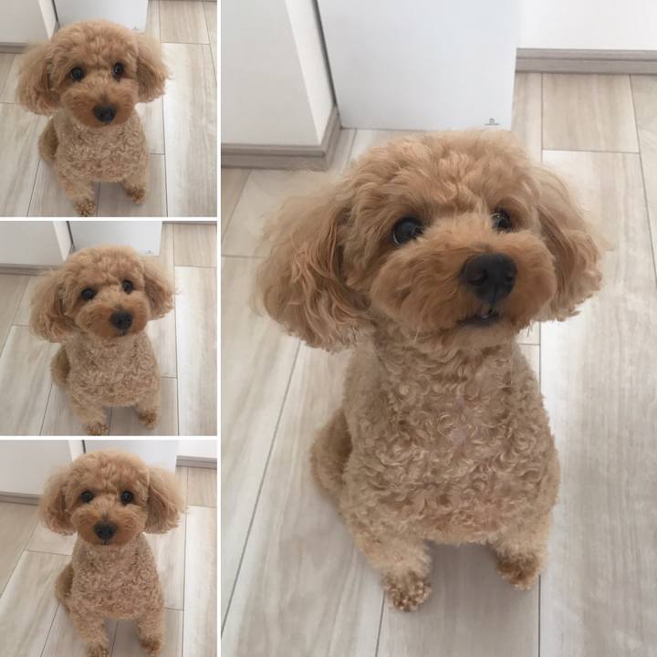 554b5706 7f7f 4e6f a143 0211a774b479 1560840926256