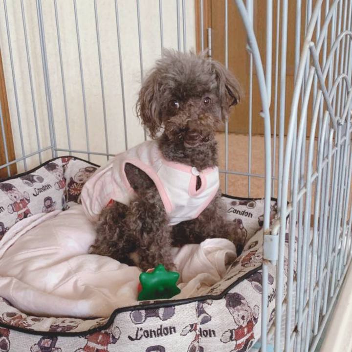 554b81b6 1a54 4ce2 a671 63e95b8d7021 1686119175108