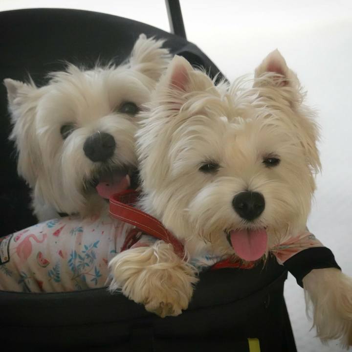 554b8200 975f 4058 b28c 179c396e740a 1530172988887