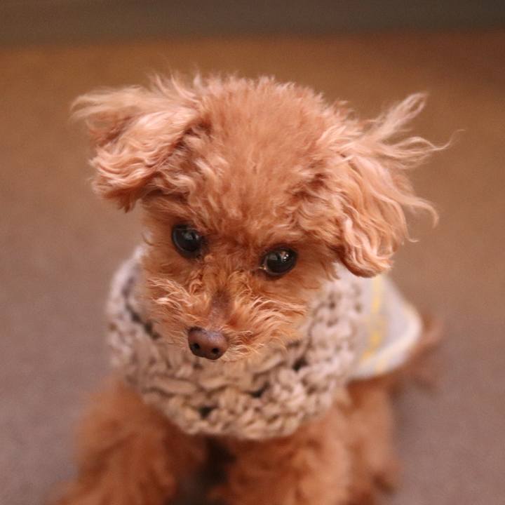 554b85a6 fa38 4a7d 8a91 f59942384410 1605015352633