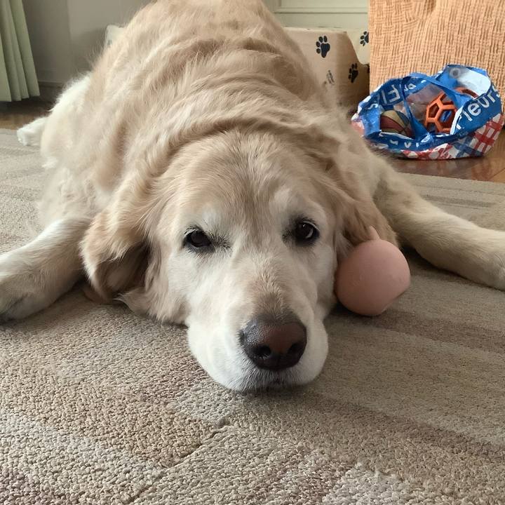 554c0a21 9751 40ed 9c29 894d93ac2570 1586915994302