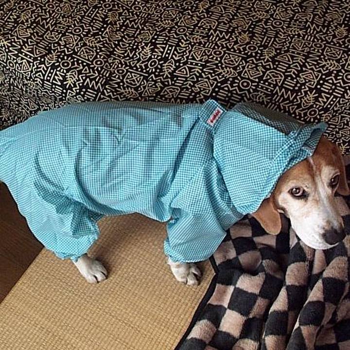 554c2935 9f7e 4034 b923 e7ddd08de1f4 1707005871132