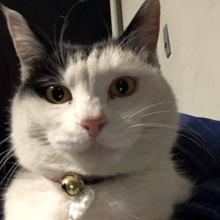 554c3b23 d47c 40e8 b98b d7409afcd704 1611479348549