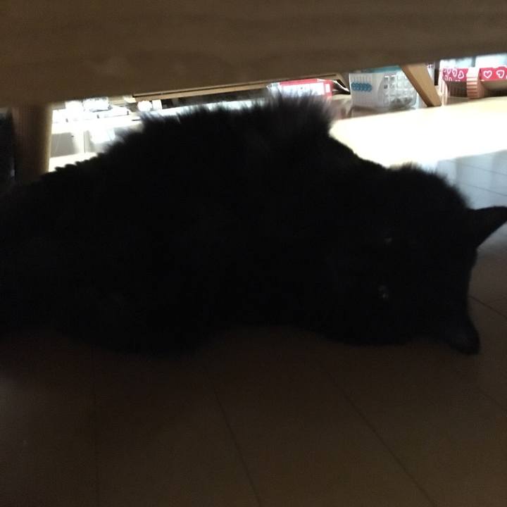 554c6178 eaba 478e aefd 01a172d7adc9 1536272695075