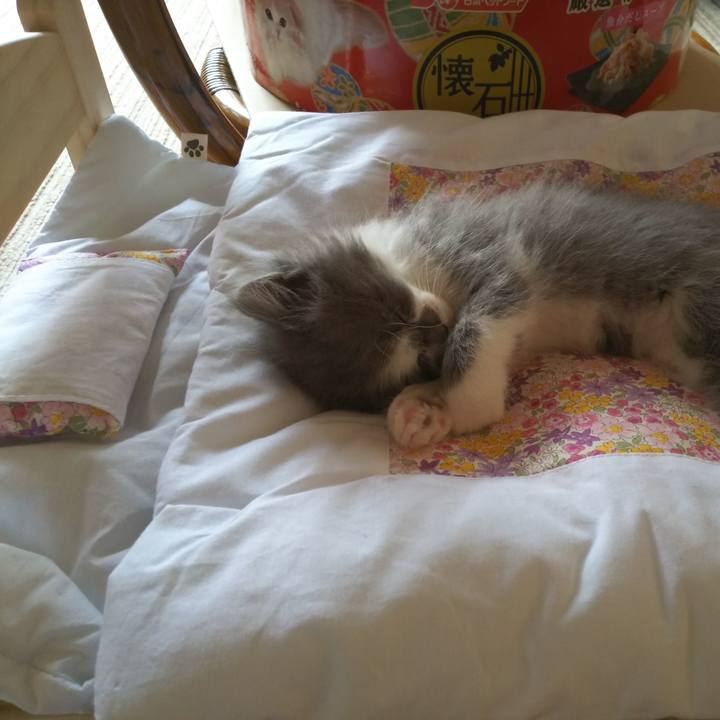 554c6226 0dd1 4738 8a37 918c25de3de9 1559530795999