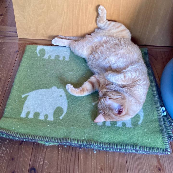 554c7494 3388 4254 87c2 cc49f22ede57 1722641322366