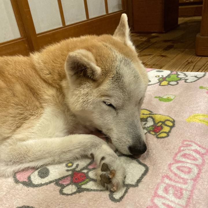 554c7ed1 5c07 4f54 ac1e 2fb88808c220 1595770086501