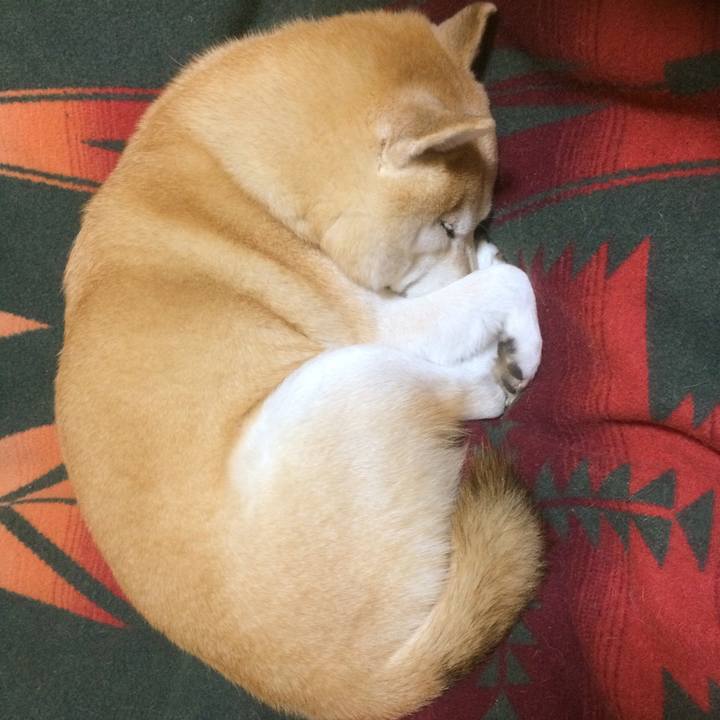 554c9269 db21 4814 8b3e 19a4b71ccd86 1549902542157