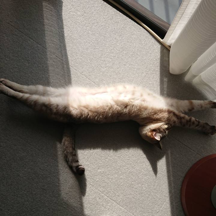 554cabc5 36a2 437e 997c 039f4fcd529a 1520056068264