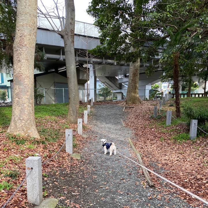 554ce533 ba3f 4810 87d7 6e36a1b39f18 1581735358700