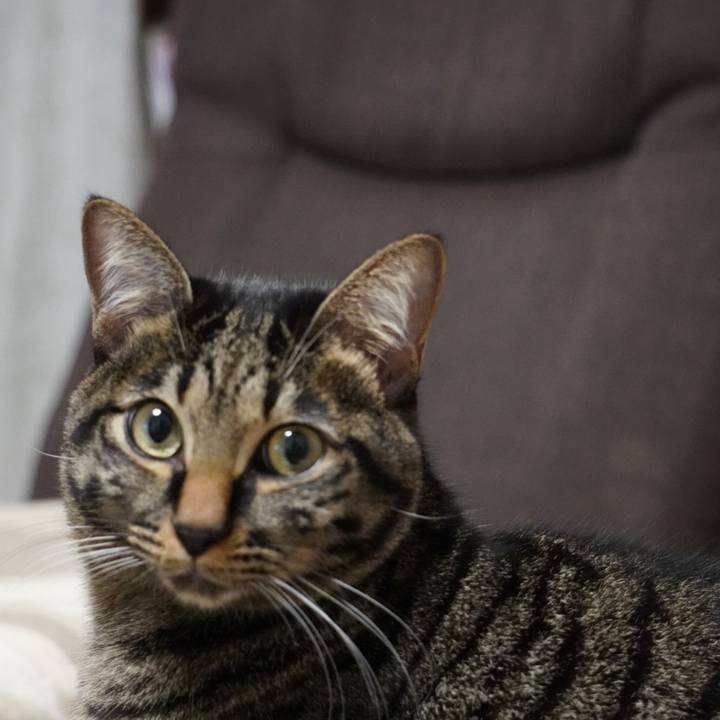 554ceaf5 75d8 4f5e a5e1 1ab29793fc7f 1638005526214