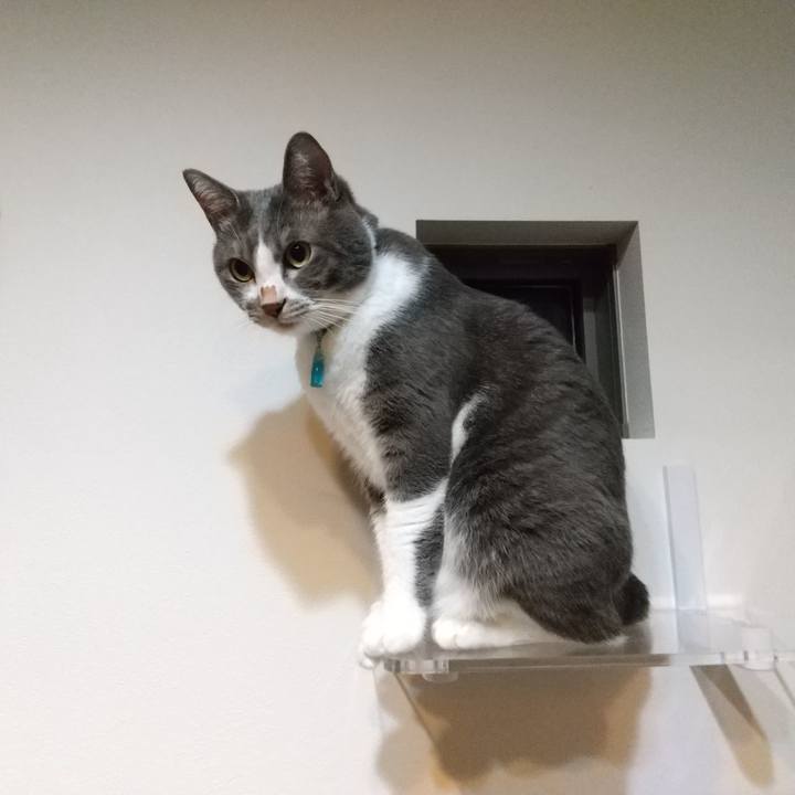 554d0a60 f64e 4c24 a406 d8eb9dd3c9da 1636630324425