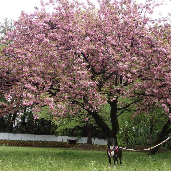 554d385b 5135 4c15 9e62 4f6fca6d003e 1650069255485