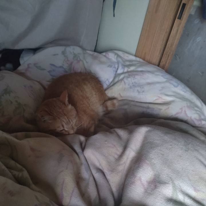 554d95c3 2aad 41f6 bebb 0ecbe042d0ed 1684102061324