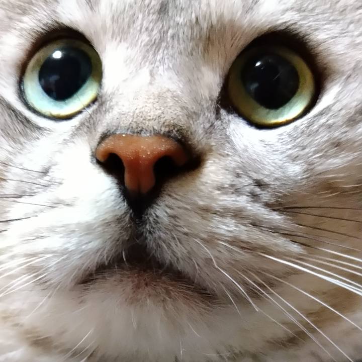 554d9cc3 7d02 481e acb4 defe91750e07 1599819714184