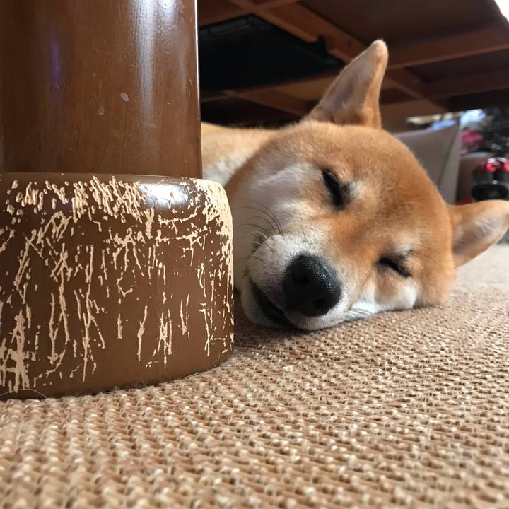 554db1d2 b033 4687 b4cb ce0f4b0b8b10 1564570002096