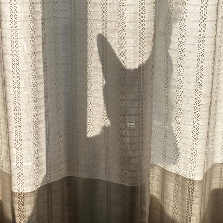 554dbdcd 2d85 479f 824d b4fc87ce6cbe 1771378271204