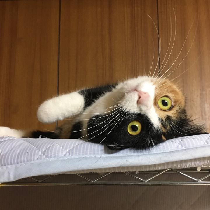 554df787 7bc4 448d 8ce7 e5fd0bb32818 1518617221512