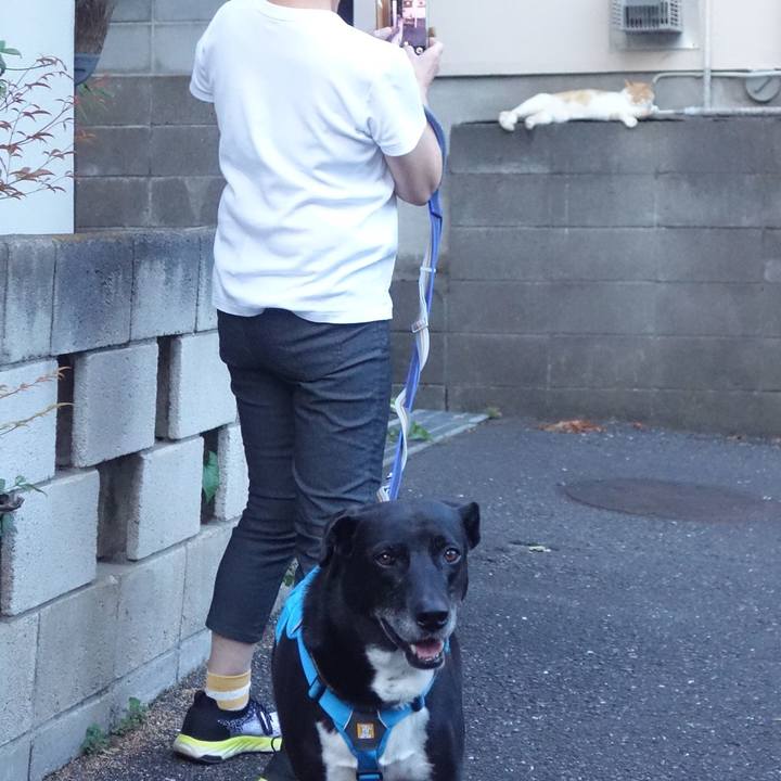 554e2754 562a 47f9 a2a5 9b27d7c03da7 1688641069254