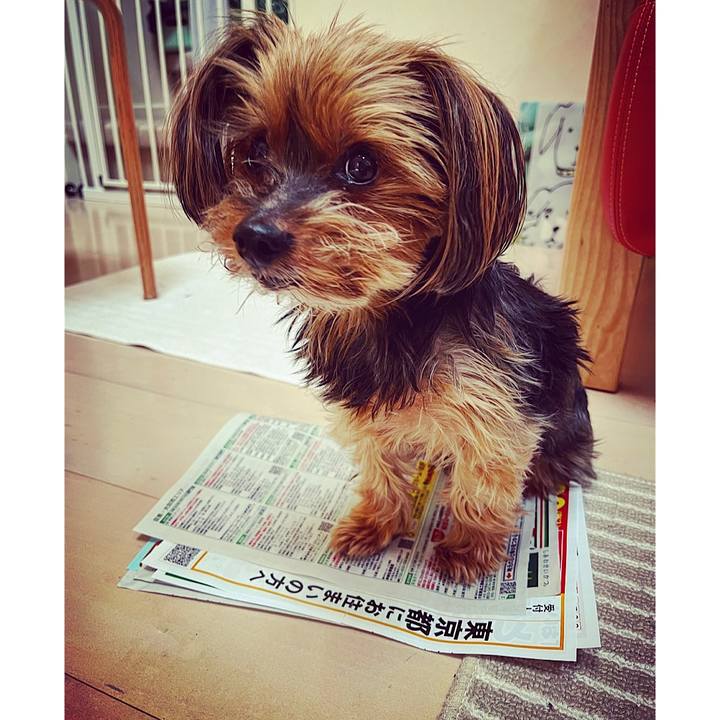 554e2d84 4fb6 4fa8 8bd0 9311d2dd9552 1690864922139