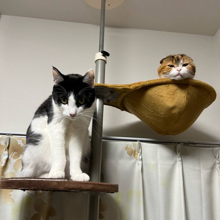 554e6eca ef4d 49c0 ba6b 19bc424828d1 1643446389552