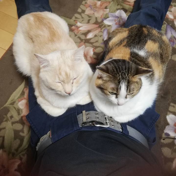 554e836b 3b36 4466 ba4f b0dda8610feb 1682549210334