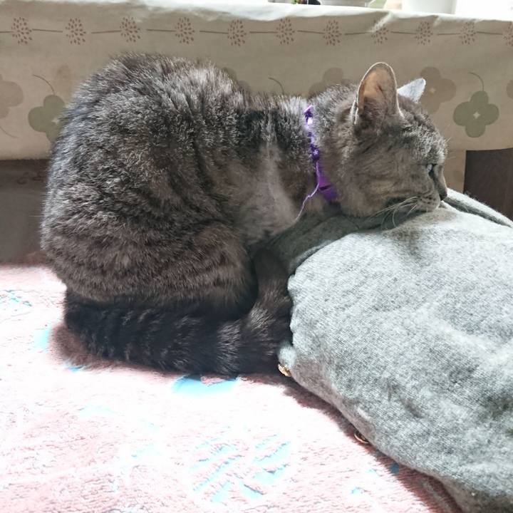 554e9e59 8590 47a5 9bfc 1d59337f06e0 1590751212734