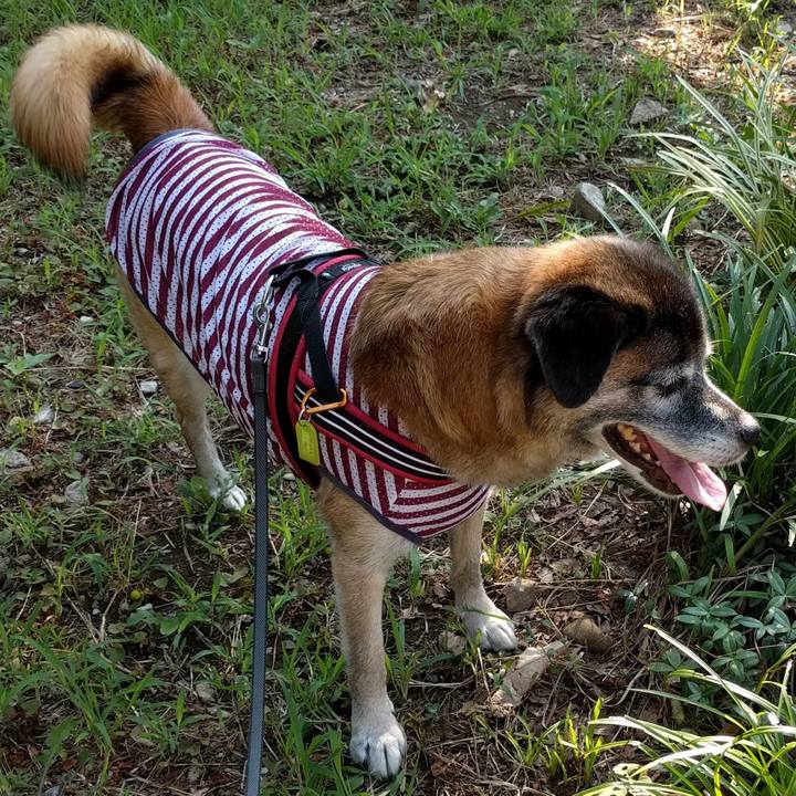 554eb087 b23b 4b4b b5aa 73dd7d6dba5c 1533164991502