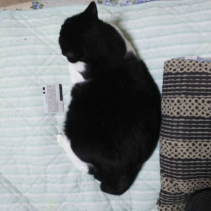 554eb0bc a6f5 4ff3 91c3 375429a0cc7c 1536757515962