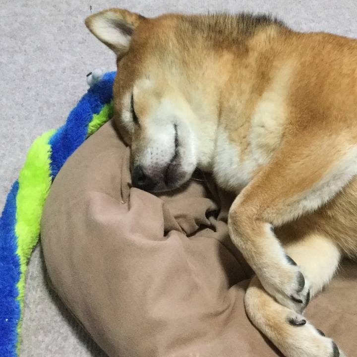 554eef6b 49e7 44b6 bb34 1fc92c51bab6 1568791485484