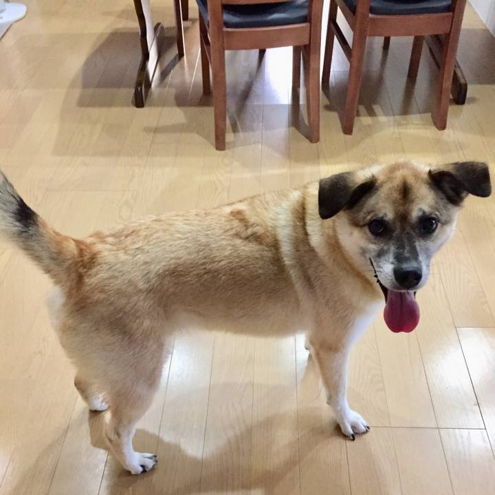 554f051e 085e 4135 a57e f005ed05eaac 1531049777620