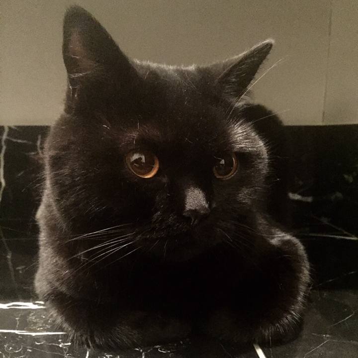 554f05f4 d0e7 433b a138 f034b7de445b 1559135832300