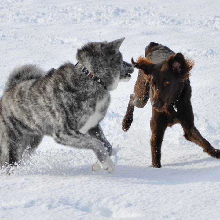 554f16ee 76e5 4282 8300 6221e75d538e 1577931921593