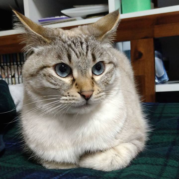 554f24db 6dac 430e 9bc1 93c4a959ab18 1650029860480