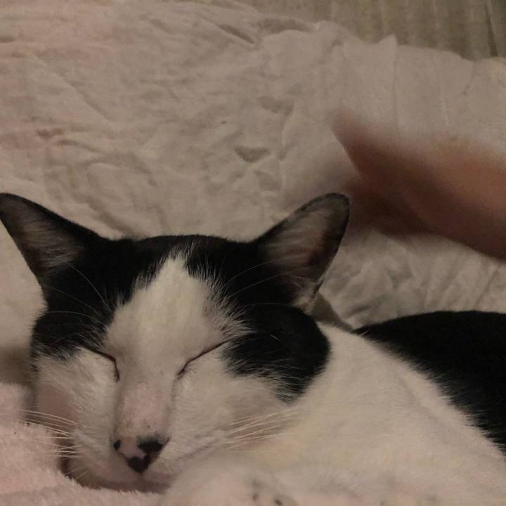 554fbd41 1003 4bd8 b3e6 678dd620a1dc 1603795837684