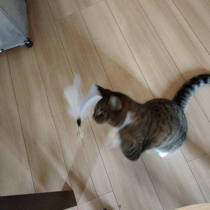 554ffbfd 4b4a 4f94 ac01 2200264b5010 1659655477166