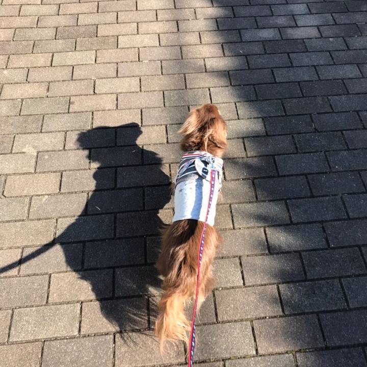 55503060 7236 4d94 ac46 80e35f32778d 1542506382413