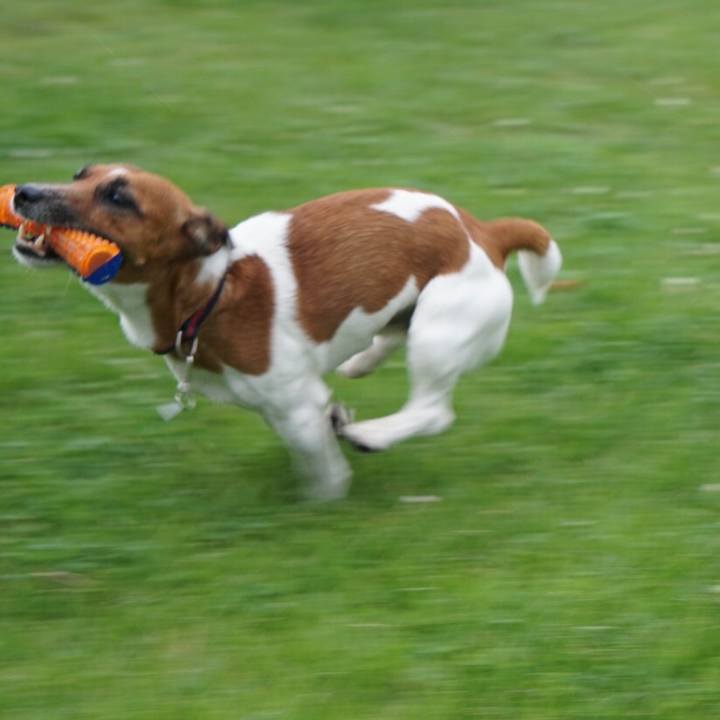 555033e5 505a 48e1 89a1 ffde5bd894a4 1530139712454