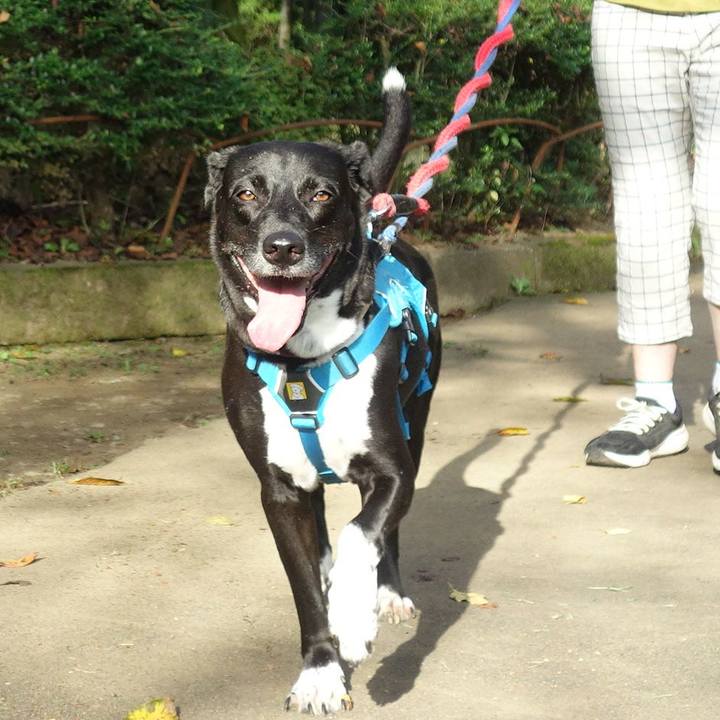 5550486e d508 4946 b50d e99bb623be5d 1632269416559