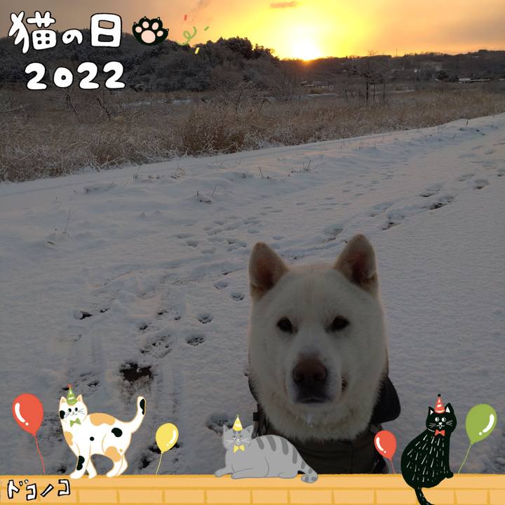 55506c73 f950 4c50 a95e 126aa2ed256b 1645569986318